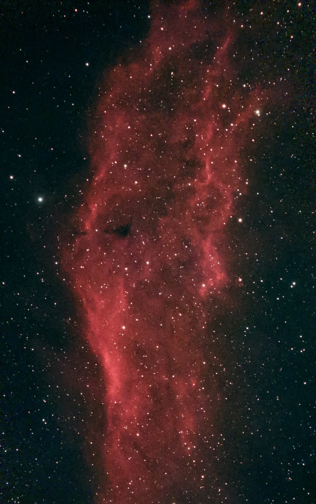 Dash's photograph of the red California Nebula against a field of stars