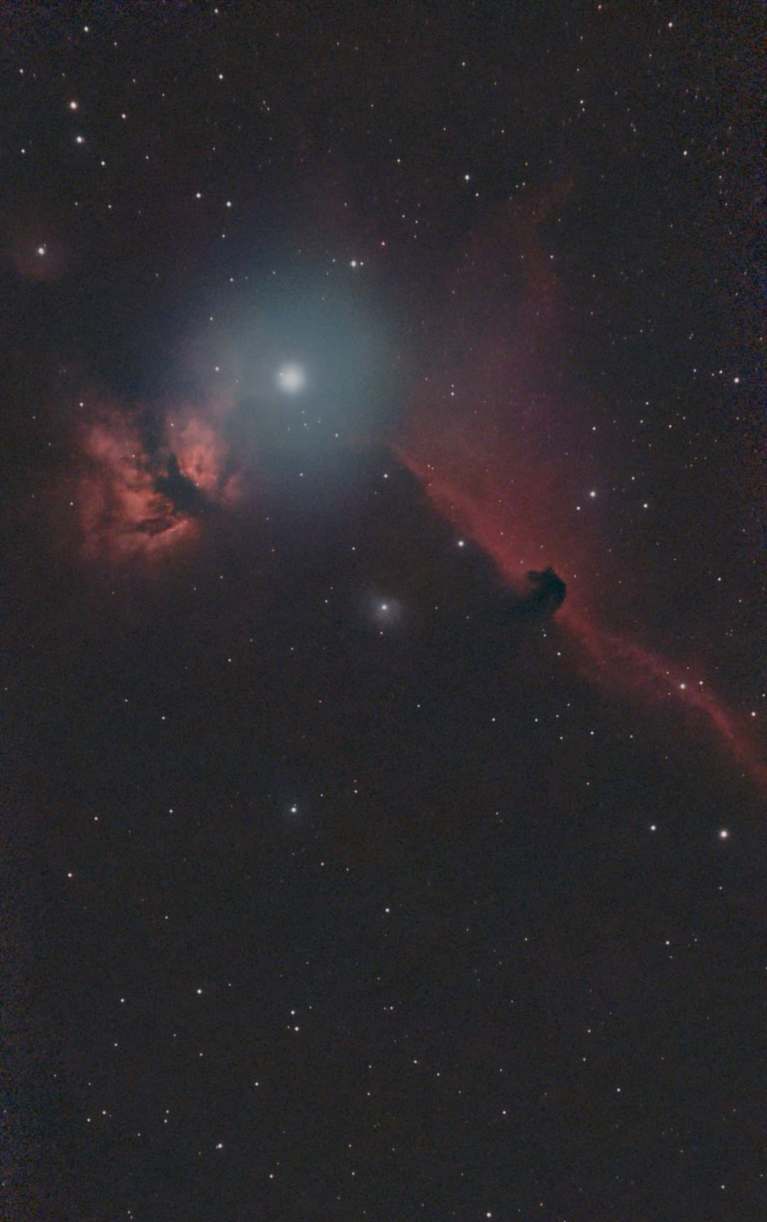 Dash's photograph of the dark Horsehead Nebula silhouetted against red glowing gas