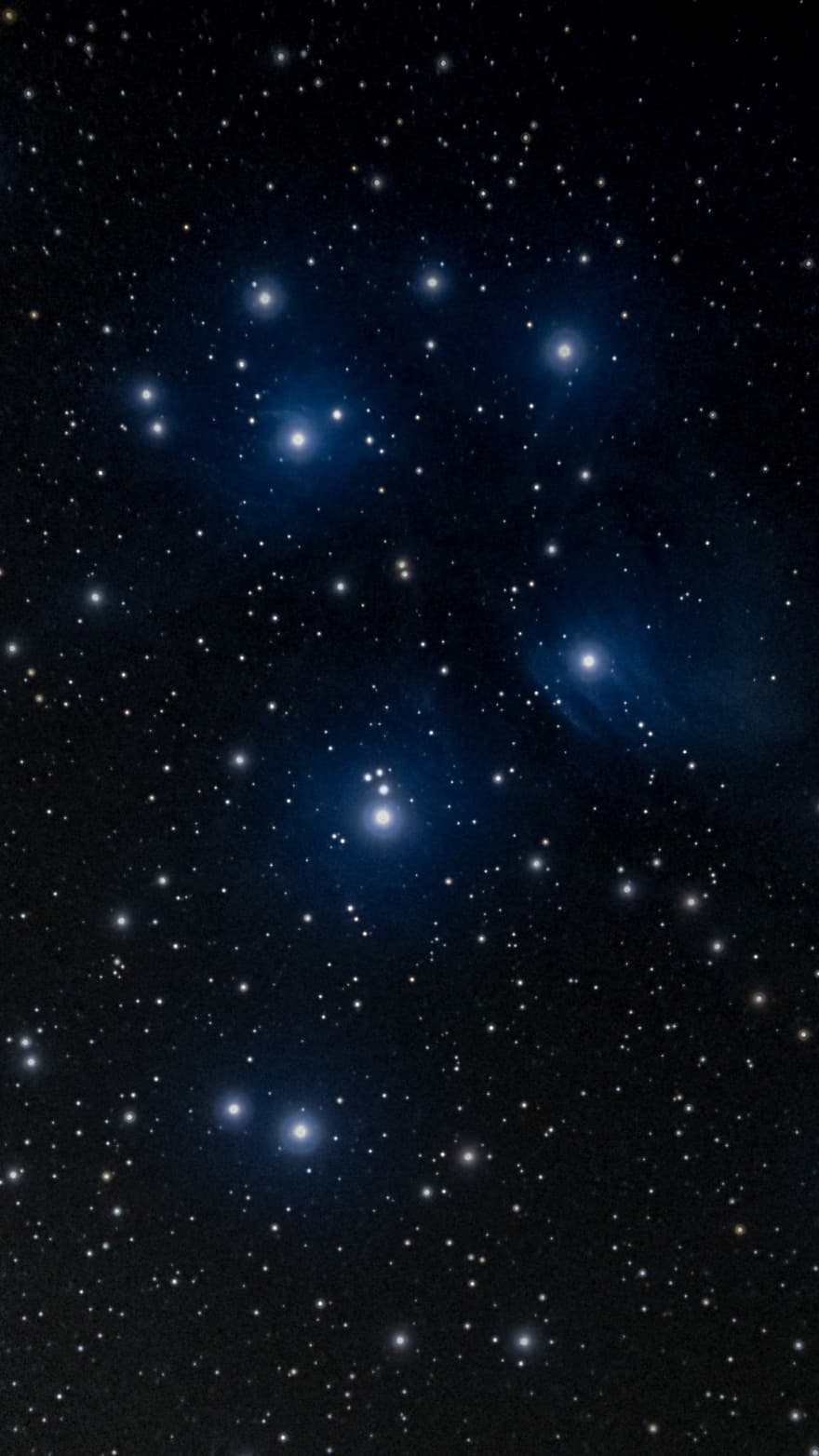 Dash's photograph of the blue Pleiades star cluster