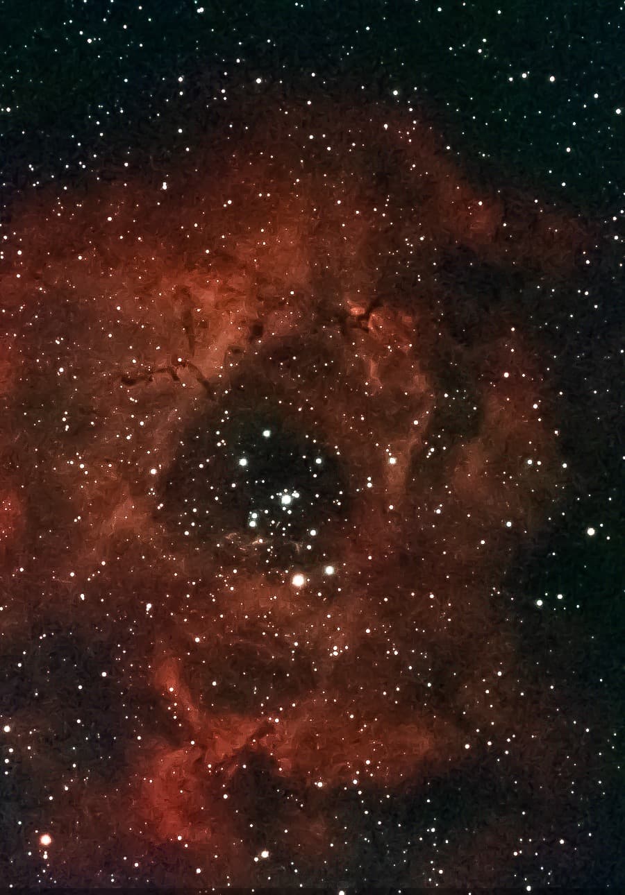 Dash's photograph of the red Rosette Nebula and its central star cluster